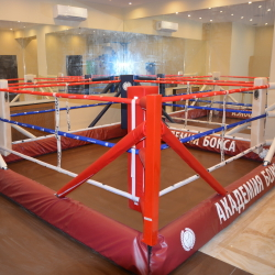 Боксерский ринг в силовой раме