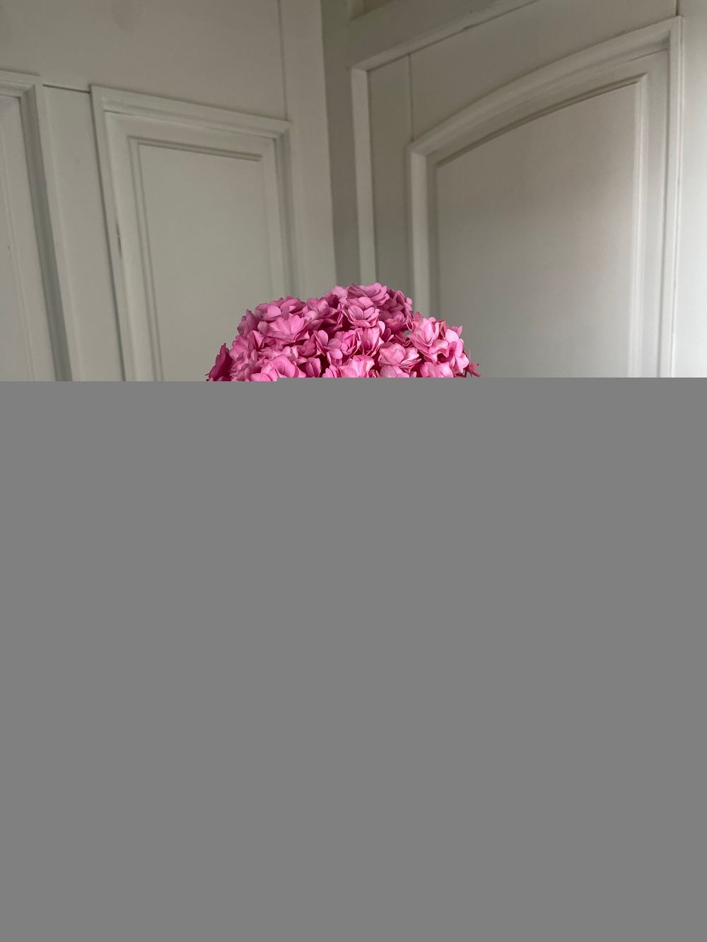 Гортензия в ярко-розовом оттенке