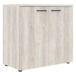 Шкаф с глухими малыми дверьми и топом XLC 85.1  856х432х820 XTEN