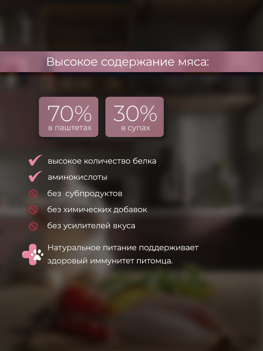 НАБОР Консервы DELISH Super Premium для кошек (суп) с индейкой и овощами - 10 х 80 гр