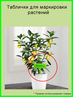 Табличка садовая для маркировки растений, 8 шт.