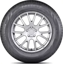 Fortune FSR-305 285/45 R22 114H XL