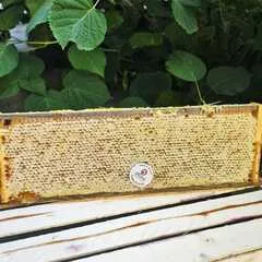 Мед луговой в сотах (рамки) / 250 гр