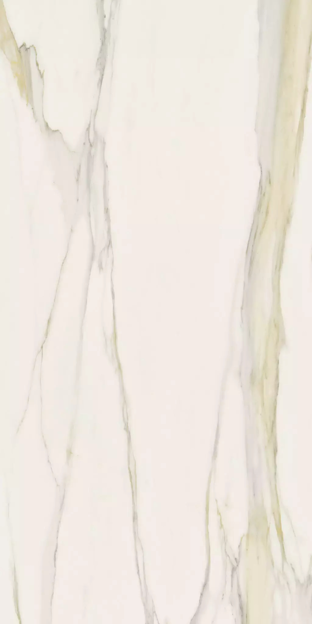 Керамогранит Magnum I Classici Calacatta Gold 6mm Glossy