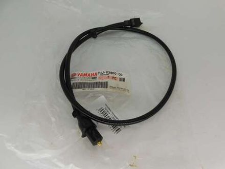 Лягушки и концевики