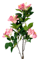 Альстромерия розовая