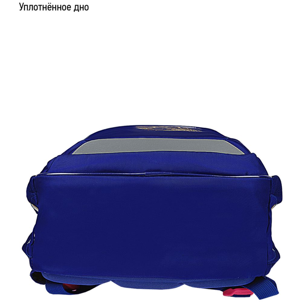 Рюкзак Berlingo Bliss Pineapple 40х29х19см, 630 гр., 3отд. 2карм, с эргономичной спинкой