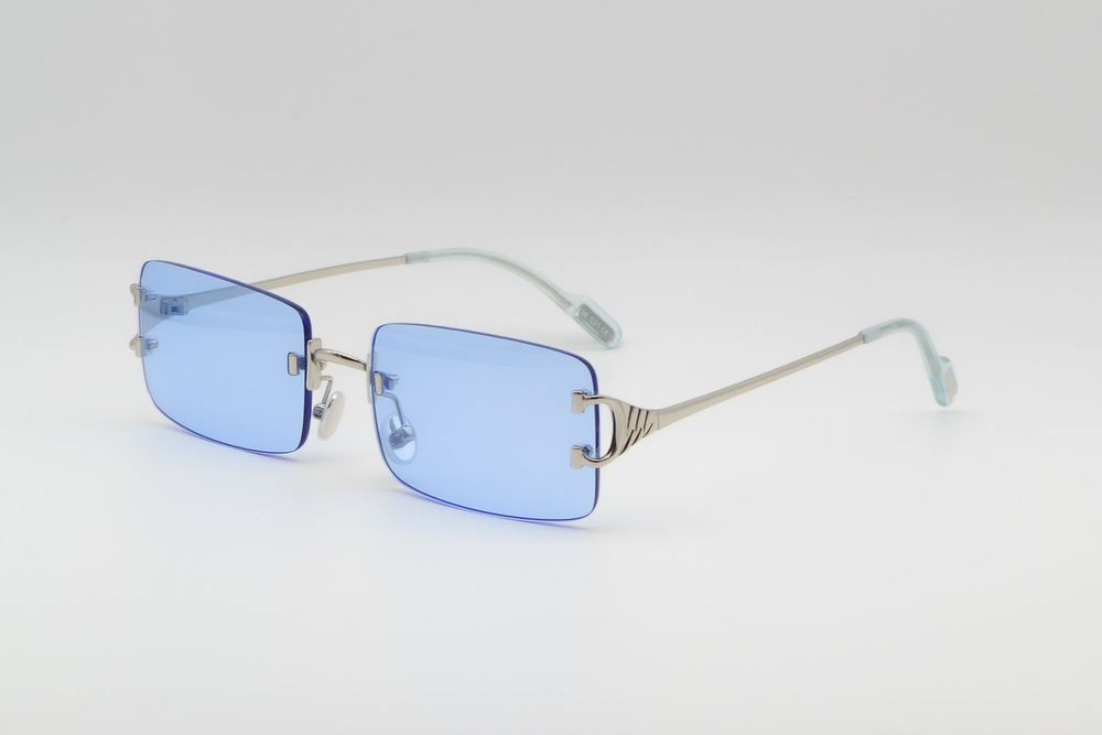 Изг.оправы Pojjet S31539 C21