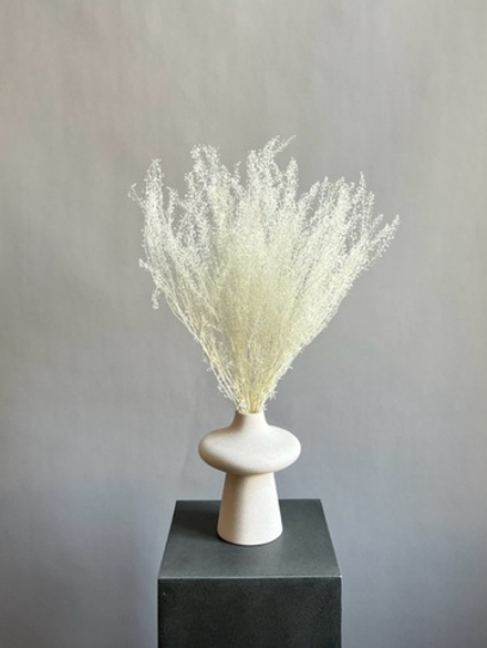 Ярутка стабилизированная белая