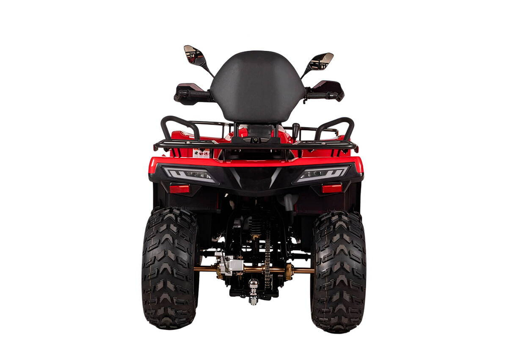 Квадроцикл BIZON YK200 Basic Carb