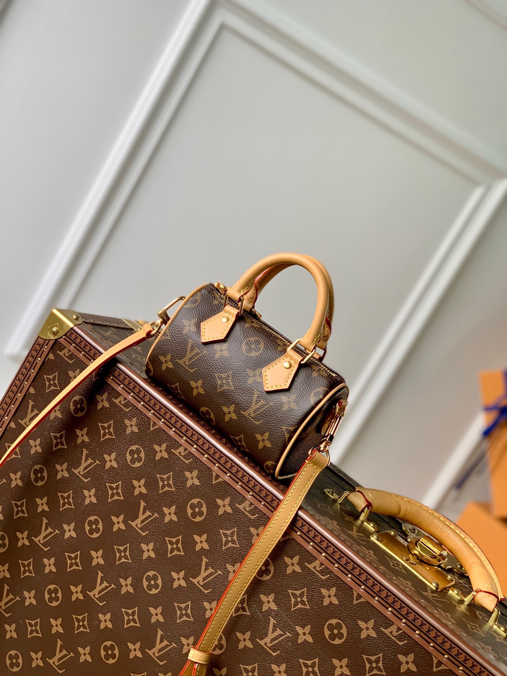 Louis Vuitton Nano Speedy