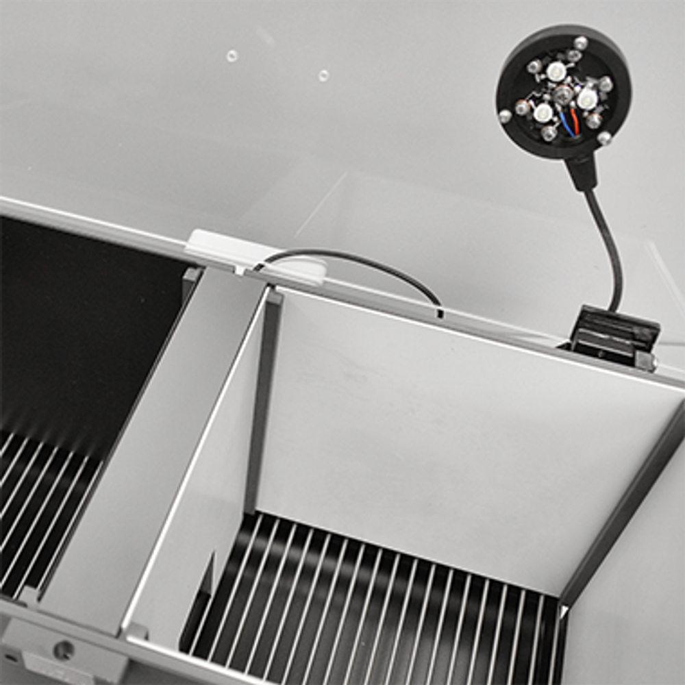 Пассивное избегание (переход)