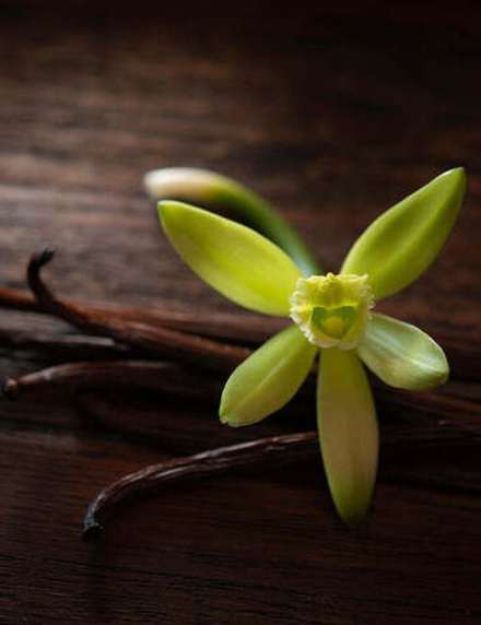 VANILLA TYPE ABS / ВАНИЛЬ ABS