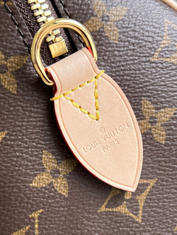 Louis Vuitton Speedy 20