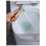 Гигиенический душ со смесителем Raglo R01.51.23, золото