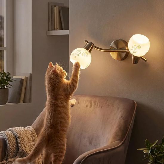 CL520523 Соната Бронза Св-к Наст.-Потол