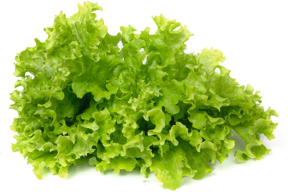 Салат Абордаж