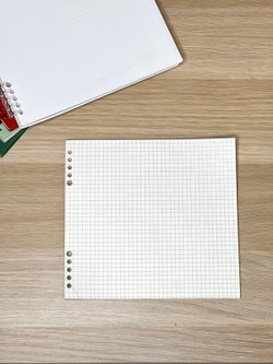 Запасные блоки клетка 60л д/блокнота 195х210 мм (8808-001)