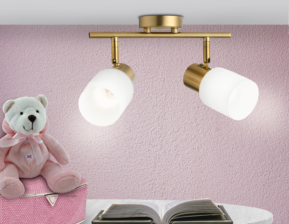 TR3969/2 BS/FR латунь/белый матовый  E27*2 max 40W 260*80*210
