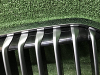 Решетка радиатора BMW X7 G07 (2019-2022)
