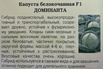 Капуста Доминанта F1 0,1 г СМК-40
