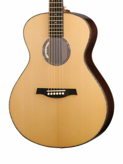P880-WCASE-NAT Электро-акустическая гитара, цвет натуральный, с футляром, Parkwood