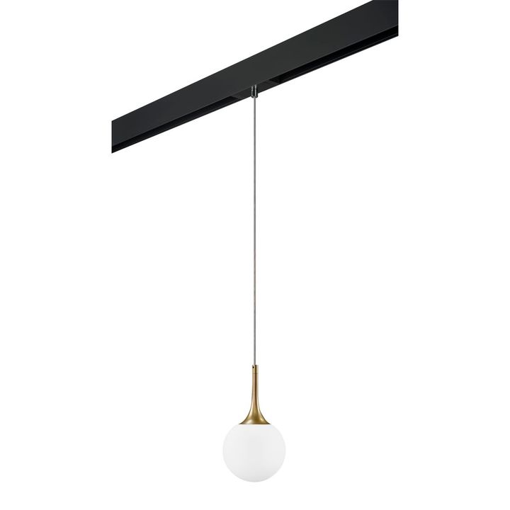 Комплект с трековым светильником Lightstar Globo (813012+595007) PRO813012