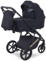 Детская коляска Rant Garda 2 в 1 Black