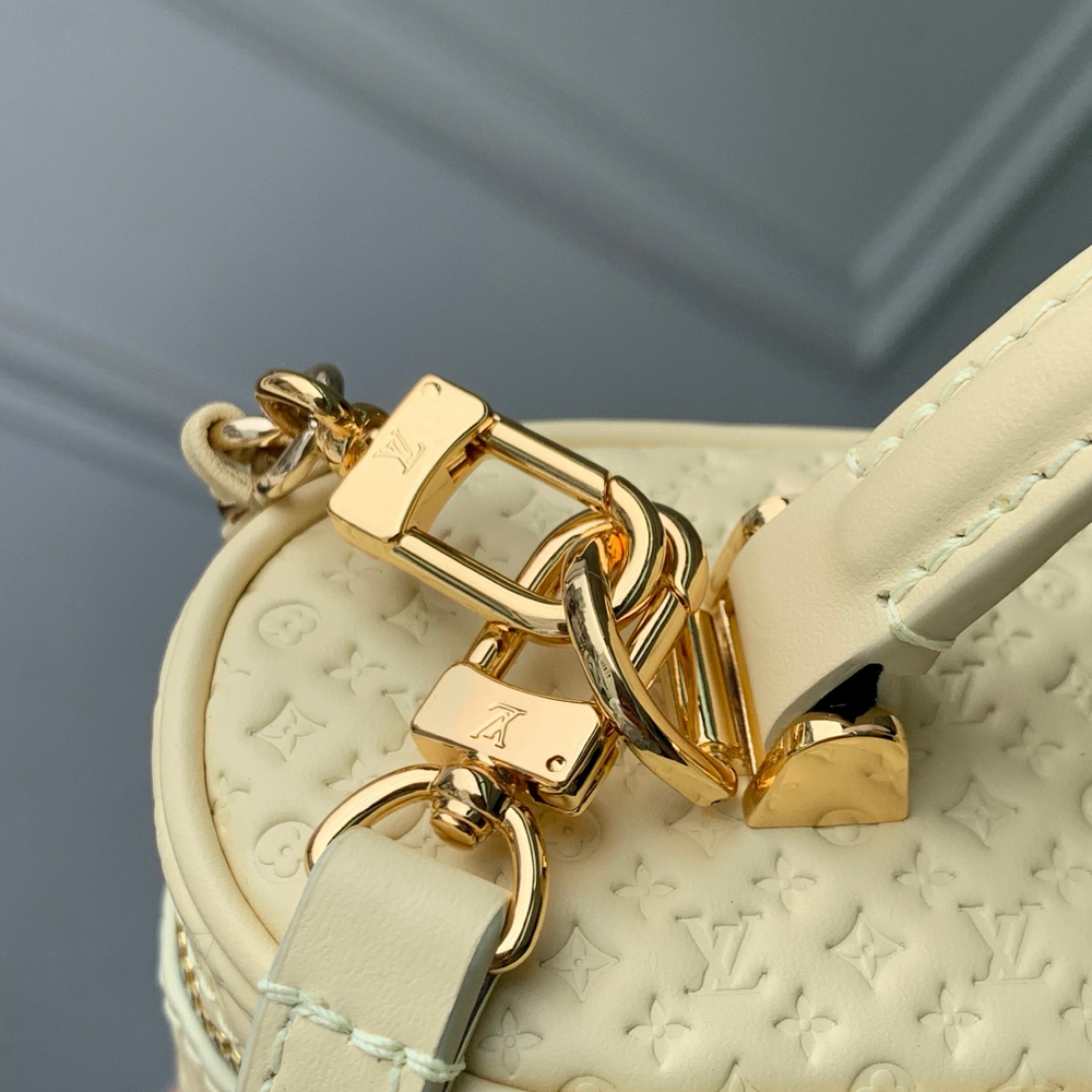 Louis Vuitton Vanity Chain Pouch