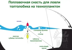 Убийца Толстолоба готовая снасть