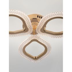 Светильник потолочный светодиодный Rivoli Erminia 6177-703 LED 36Вт 3000-6000К с пультом | Rivoli