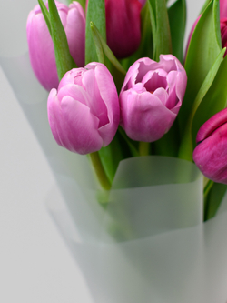 Тюльпаны микс