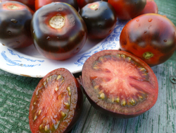 Помидоры - Blue Chocolate - Синий Шоколад