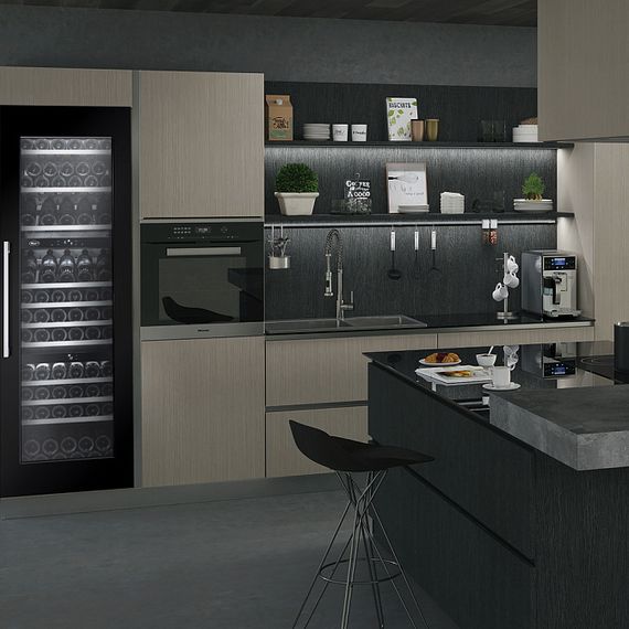 Винный холодильник Cold Vine C89-KBB3