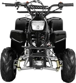 Электроквадроцикл Avantis CLASSIC 6Е (600W)