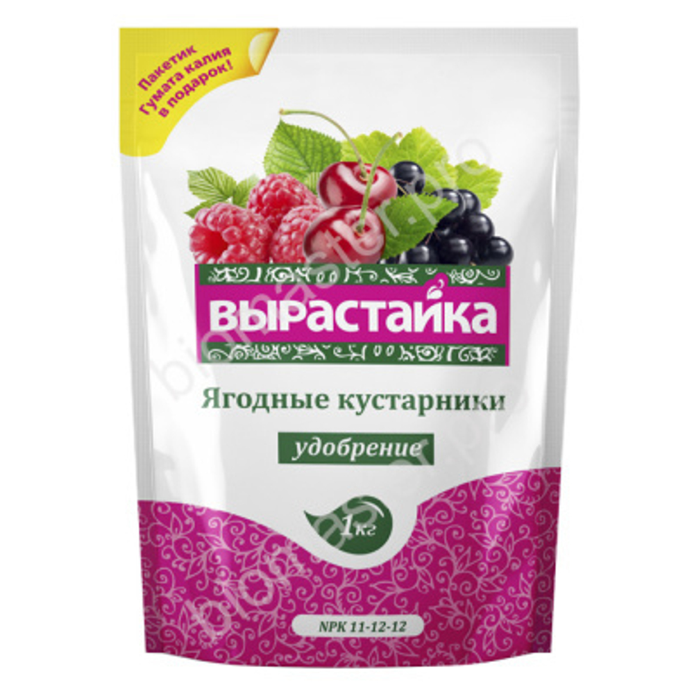 Вырастайка - Ягодные кустарники 1кг  БиоМастер