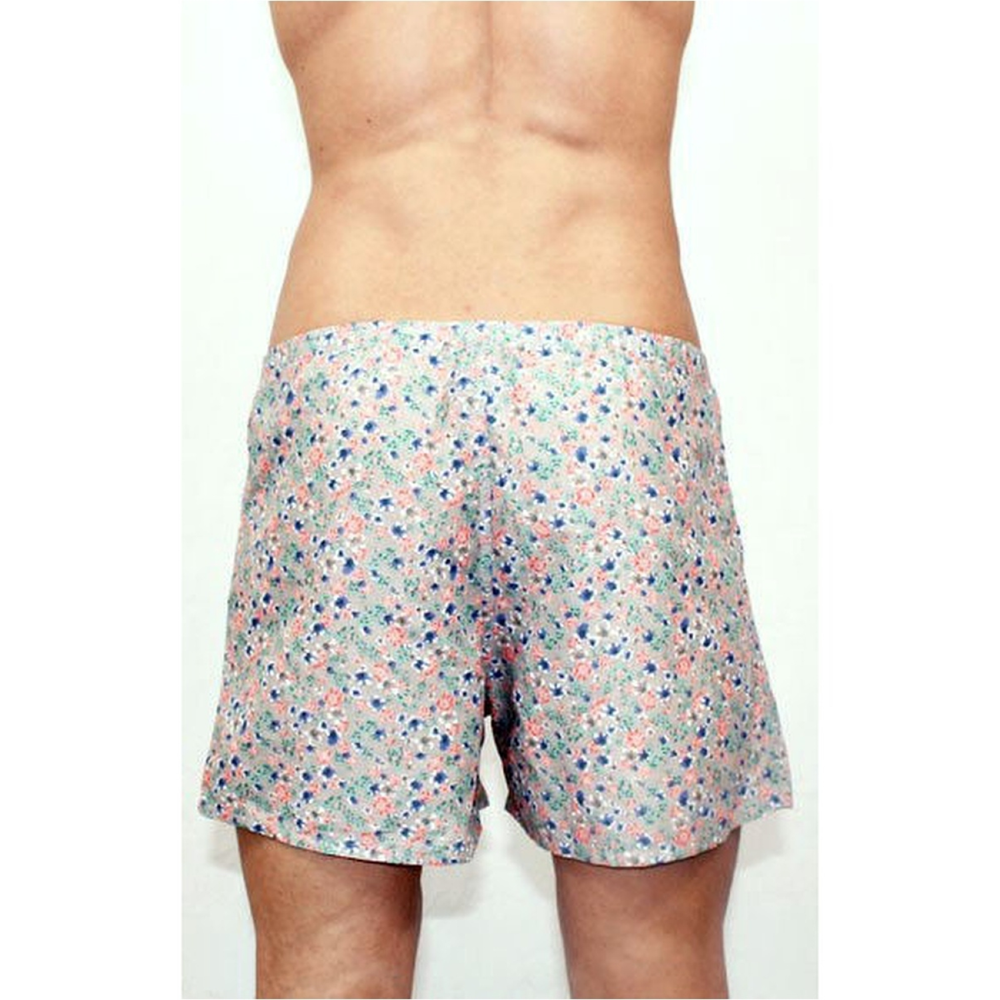 Мужские трусы-шорты серые Romeo Rossi Spring Meadow Shorts RR00312