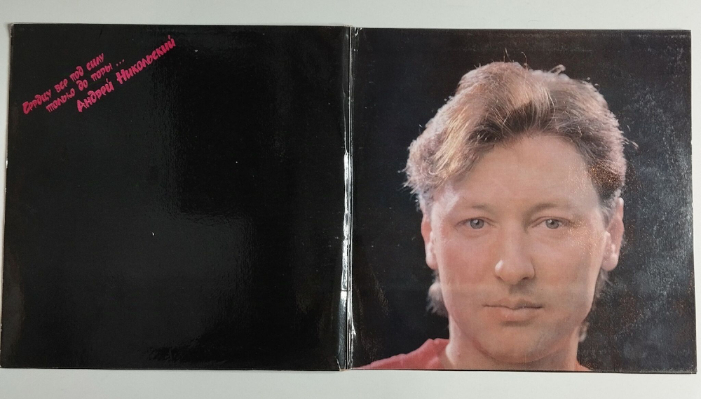 Винтажная виниловая пластинка LP Андрей Никольский Хулиган С Покровки (Россия 1993)