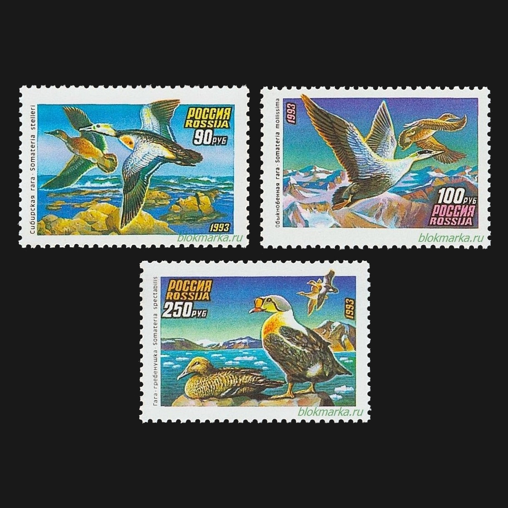 Россия 1993 г № 101-103 Серия Утки Чистая MNH **