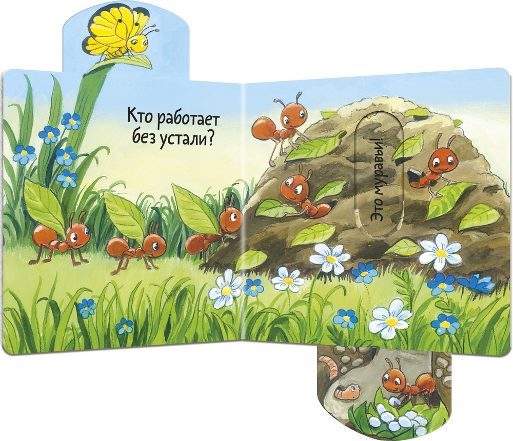 Вжух! Кто здесь?