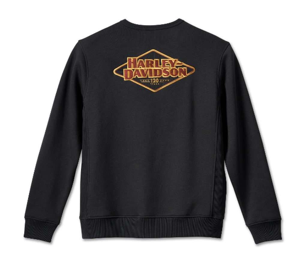 Толстовка Black Beauty 120th Anniversary