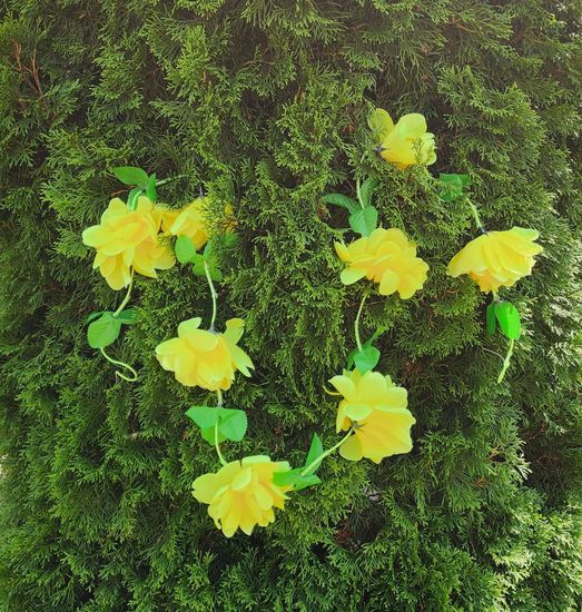 Гирлянда из цветов крупных, темно-розовая