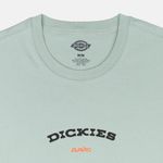  Футболка мужская Dickies Outdoor артикул:DK0A4Z8PK361 - купить в магазине Дайс