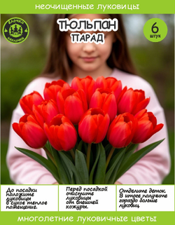 Тюльпан Луковица Парад 6 шт,