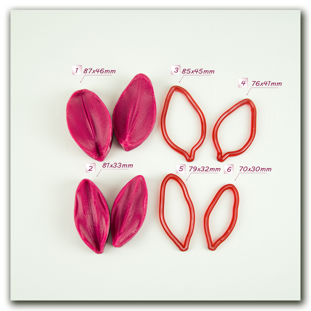 Лепестки лилии малые