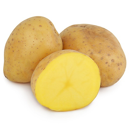 Картофель семенной Колобок