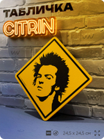 Табличка декоративная "Сид Вишес, Sid Vicious, Sex Pistols" на дверь и стену, прикольная штука в подарок, декоративный знак, 24,5х24,5 см, пластиковая, Айдентика Технолоджи