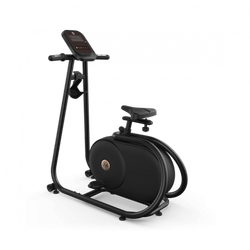 Вертикальный велоэргометр HORIZON CITTA BT5.0