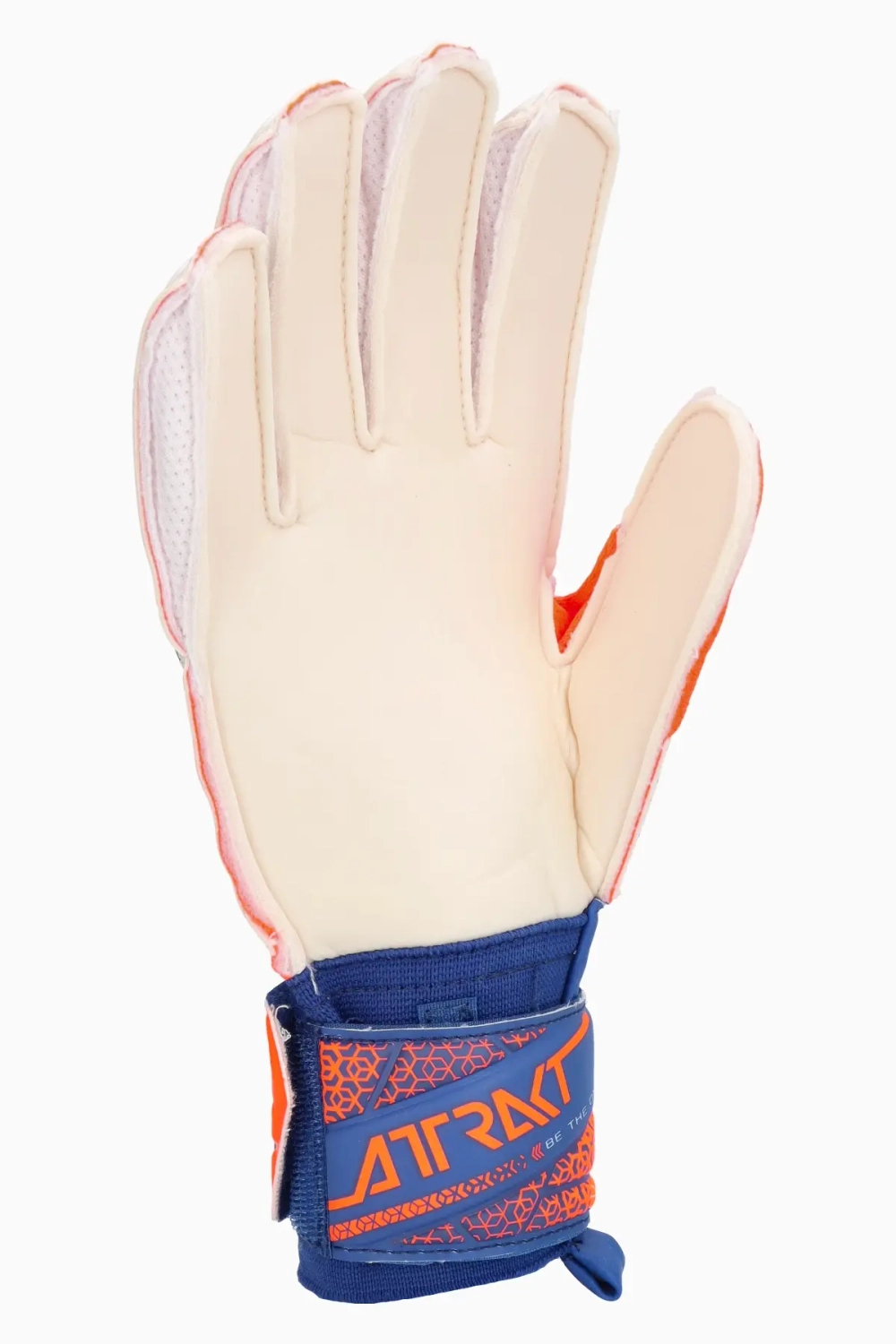 Вратарские перчатки Reusch Attrakt Solid