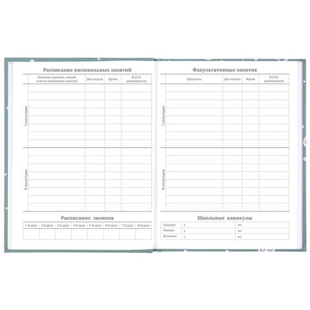 Дневник 5-11 класс 48 л., твердый, BRAUBERG, блестки, с подсказом, "Кактусы", 106420